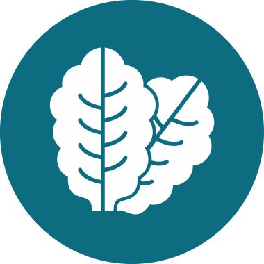 Marul simge vektör illüstrasyonunu bırakır