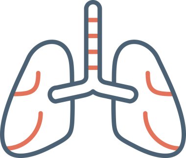 İnsan ciğerlerinin basit çizimi