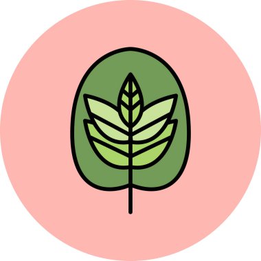 Calathea bitkisi. Web simgesi basit illüstrasyon
