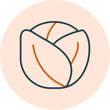 taze Brüksel Sprout simgesi, vektör illüstrasyonu 