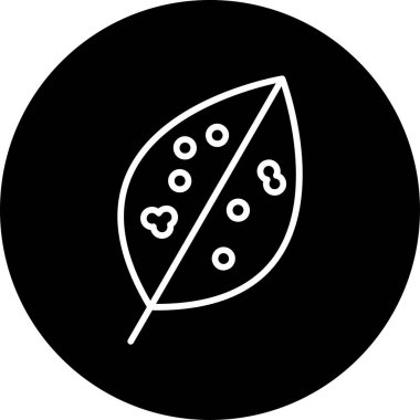 Çin Evergreen yaprak simgesi, vektör 