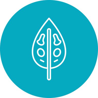 Dieffenbachia yaprak simgesi, vektör illüstrasyonu