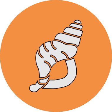 Deniz kabuğu düz simgesi, vektör illüstrasyonu 