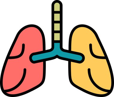 İnsan akciğerlerinin basit doğrusal resmi