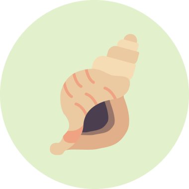 Deniz kabuğu düz simgesi, vektör illüstrasyonu 