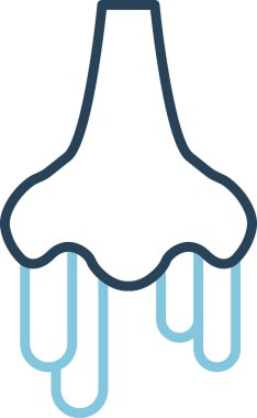 Akan burnun temel doğrusal görüntüsü 