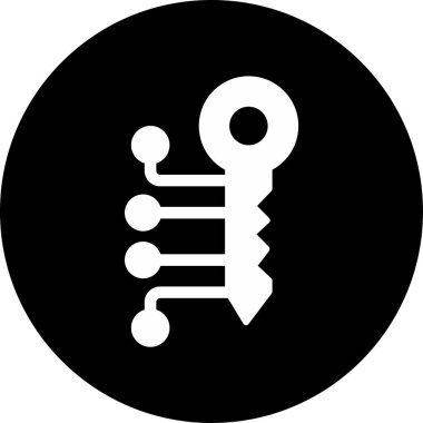 vector illustration of Digital Key icon
