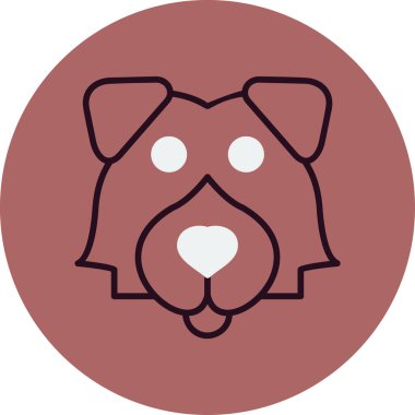 Shetland Çoban Köpeği, cinsi somutlaştıran zarafet ve sadakat 