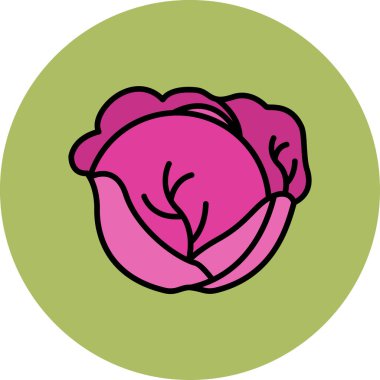 Lahana. Web simgesi basit tasarım 