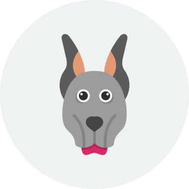 Doberman köpek başı illüstrasyonu, uygulama simgesi 