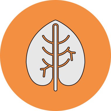 Caladium yaprağı ikon vektör illüstrasyonu