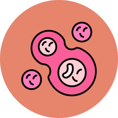 Hücre bölünmesinin basit doğrusal resmi