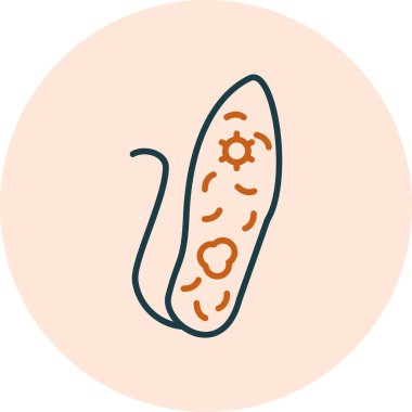 Euglenid bakteri simgesi, vektör çizimi basit tasarım