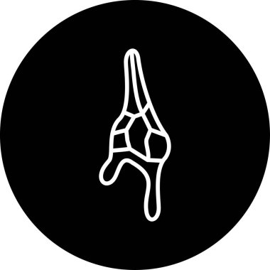 Ceratium Dinoflagellate Simge Vektör İllüstrasyonu Beyaz Arkaplanda İzole Edildi