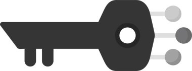 vector illustration of Digital Key icon