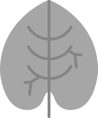 Caladium yaprağı ikon vektör illüstrasyonu