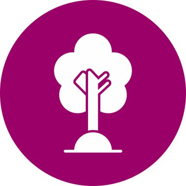 Kiraz ağacı. Web simgesi basit illüstrasyon