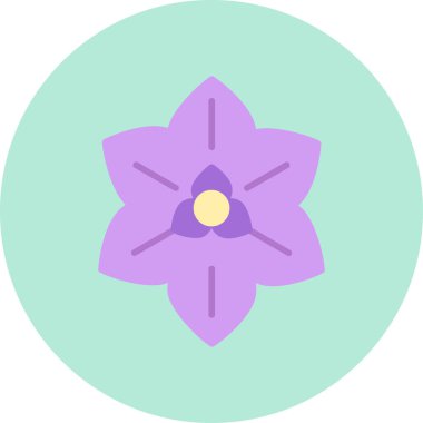 Euphorbia pulcherrima ikonu, vektör illüstrasyonu