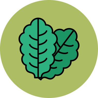 Marul simge vektör illüstrasyonunu bırakır