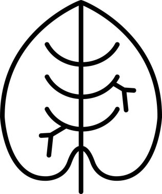 Caladium yaprağı ikon vektör illüstrasyonu