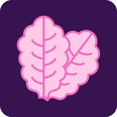 Marul simge vektör illüstrasyonunu bırakır