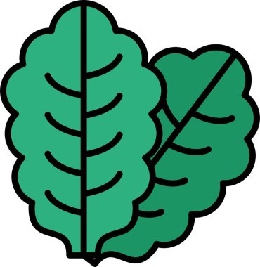 Marul simge vektör illüstrasyonunu bırakır