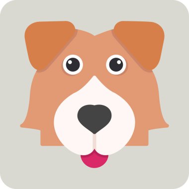 Shetland Çoban Köpeği, soyunun zerafeti ve sadakatini simgeler.. 