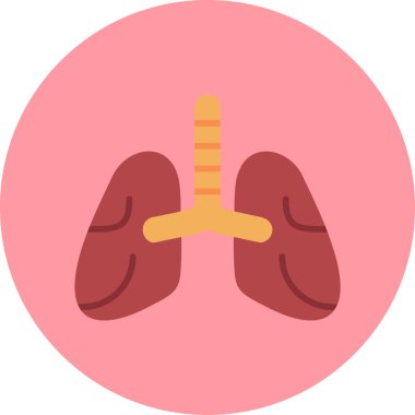 İnsan akciğerlerinin temel çizimi