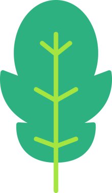 Arugula yaprağı ikonu illüstrasyonu