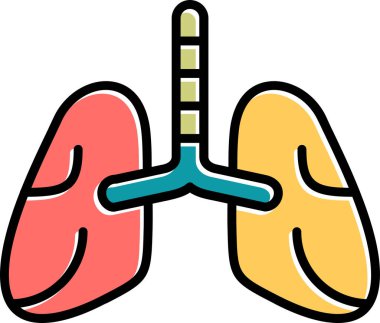 İnsan akciğerlerinin ana hatları çizimi