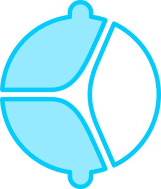 Aort kapakçığı. Web simgesi basit illüstrasyon