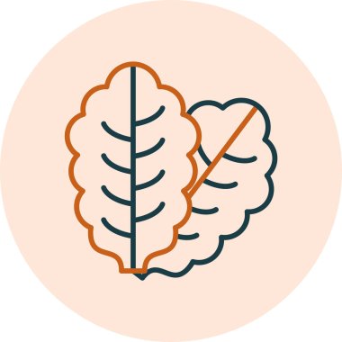 Marul simge vektör illüstrasyonunu bırakır