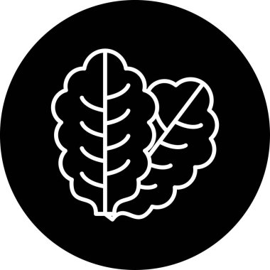 Marul simge vektör illüstrasyonunu bırakır