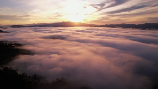 High Angle View Drone View Fog Rainy Season Mountains Beautiful — ストック動画