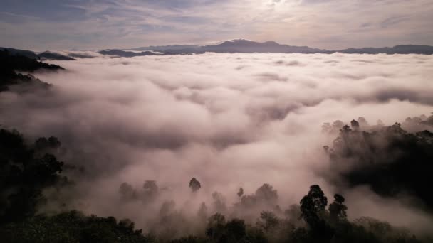 High Angle View Drone View Fog Rainy Season Mountains Beautiful — Wideo stockowe