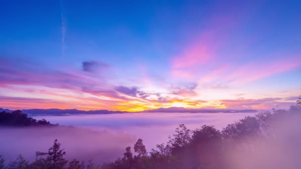 Красивый Утренний Восход Туман Тропических Джунглях Туманный Туман Горных Лесов — стоковое видео