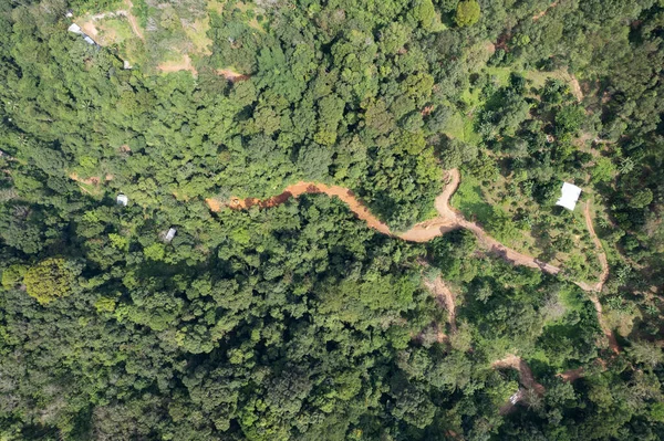 森の中の未舗装道路上の空中ビュー 山の自然環境の背景 — ストック写真