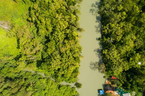 Vista Superior Manguezal Árvores Florestais Rio Ecossistema Ambiente Saudável Conceito — Fotografia de Stock