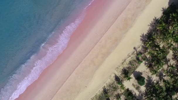 Удивительные Волны Пляже Вид Воздуха Волны Моря Удивительный Океан Удивительное — стоковое видео