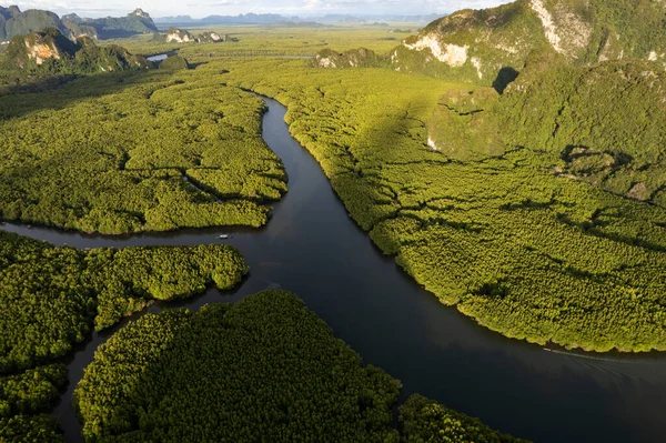 Удивительные Красивые Природные Пейзажи Пейзажа Азии Тропических Мангровых Лесов Фон — стоковое фото