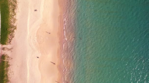 Uitzicht Vanuit Lucht Crashing Golven Zandige Kust Kleurrijke Zee Oceaan — Stockvideo