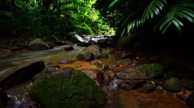 Waterfall in Abundant Clear Stream in the forest Small waterfall river with crystal clear water morning light nature background
