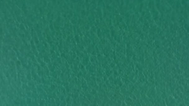 Krachende Wellen Strand Draufsicht Luftbild Wellen Meer Amazing Ozean Zeitlupe — Stockvideo