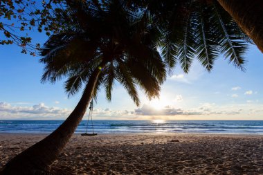 Gün batımında hindistan cevizi palmiyesi ağaçları ya da gün doğumunda deniz üzerinde gökyüzü inanılmaz hafif doğa rengarenk manzara güzel aydınlık gökyüzü ve bulutlar