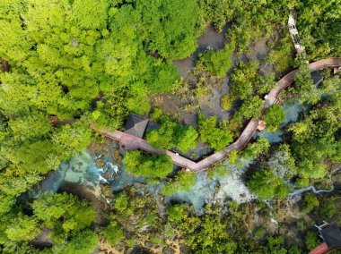 Mangrove Ormanı ve nehir manzarası Thapom Klong Song Nam, Krabi Tayland, Mangrove ormanının güzel kökü kristal berrak su ile küçük kanalda, yüksek açılı manzara 