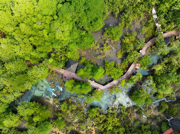 Mangrove Ormanı ve nehir manzarası Thapom Klong Song Nam, Krabi Tayland, Mangrove ormanının güzel kökü kristal berrak su ile küçük kanalda, yüksek açılı manzara 