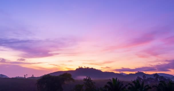 Hermoso Amanecer Matutino Niebla Selva Tropical Niebla Bosque Montañoso Brumoso — Vídeos de Stock