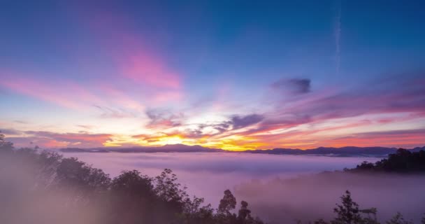 Прекрасний Ранковий Схід Сонця Туман Тропічних Тропічних Лісах Туманний Гірський — стокове відео