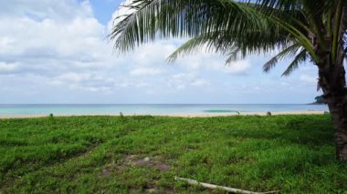 Muhteşem hindistan cevizi palmiyeleri cennet Phuket Adası 'ndaki temiz beyaz kumlu plajda çerçeveleniyor. Tayland plajı, yaz arkaplanı ve seyahat web sitesi için güzel bir video.