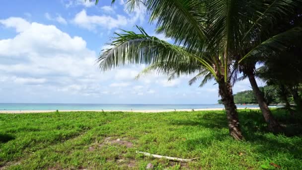 美丽的椰子树相框在清澈的野生白沙滩上 在仙境普吉岛 泰国卡隆海滩 美丽的夏季背景视频和旅游网站 — 图库视频影像